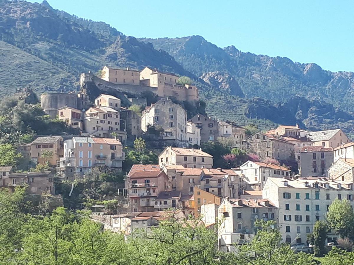 charmant studio dans résidence neuve et calme Corte  Exterior foto